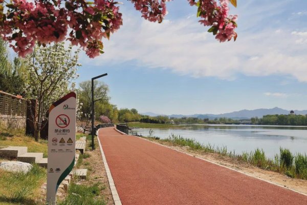 牛8速配 延庆21公里滨水步道建成，锻炼、休闲好去处