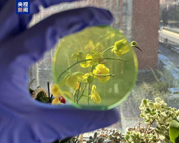 全民配资 中科院团队研发新型闪烁屏，突破快中子成像分辨率瓶颈