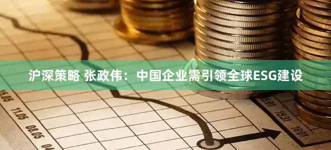沪深策略 张政伟：中国企业需引领全球ESG建设