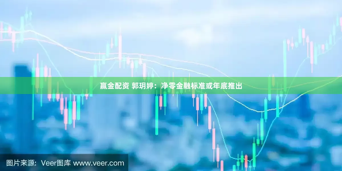 赢金配资 郭玥婷：净零金融标准或年底推出